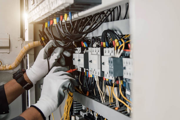 Best Electric Panel Repair  in Lake Barcroft, VA